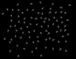  Animated Gif on Giphy