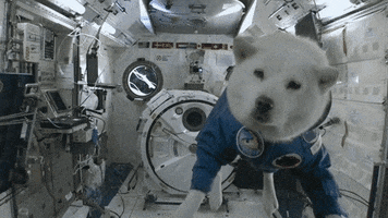 200.gif