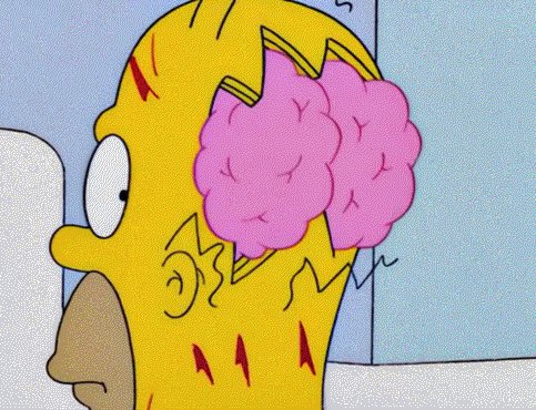 pink e cerebro gif