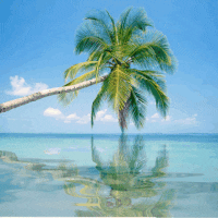 Siesta Title & Escrow Services LLC