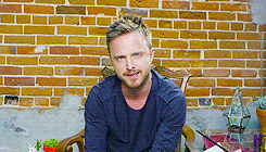 tribeca film festival gif