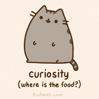 Aw Curiosity animated GIF
