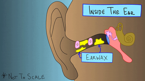 Ear Wax .. Bare Pits Best Natural Deodorant