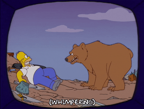 homer running from a bear gif