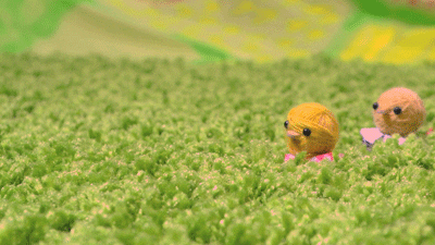 Cute Stop Motion