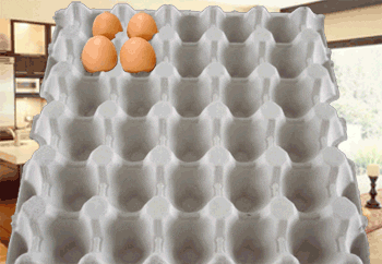 egg carton