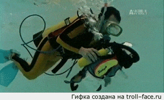 Bathtub Cat animated GIF