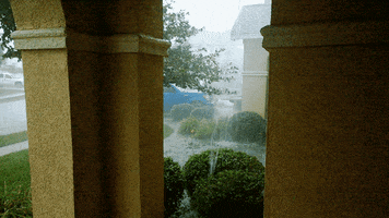 Colorado Oc animated GIF