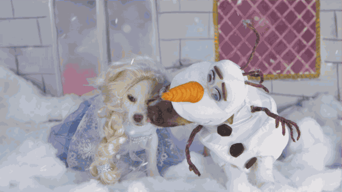 Disney Frozen Cartoon Porn Dog - New trending GIF tagged disney cute dog puppyâ€¦ | Trending Gifs
