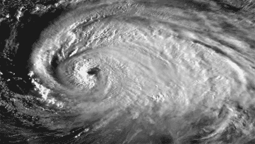 hurricane new orleans treme animated GIF