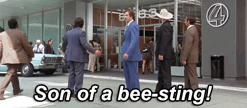 Anchorman son of a beesting