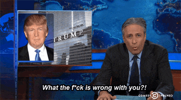 Daily Show Donald Trump animated GIF