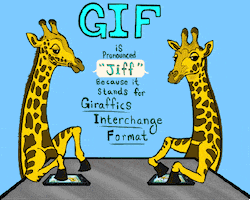 Gif Giraffe animated GIF