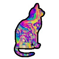 Cat Transparent animated GIF