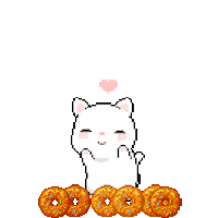 Cat Donuts animated GIF