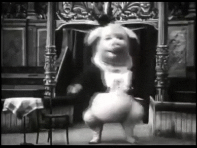 vintage pig gif