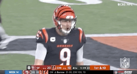 Nfl Bengals Gifs Get The Best On Giphy