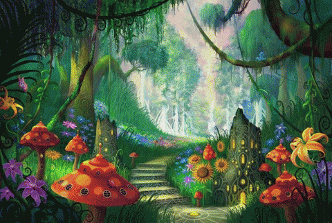 how it actually looks on acid