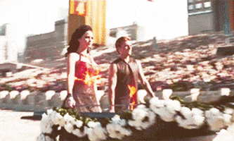 Catching Fire Catching Fire Gif animated GIF