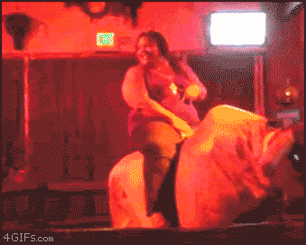 giphy.gif