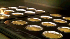 Two dozen cupcakes rising in the oven while baking