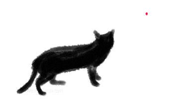 Animation Black Cat animated GIF