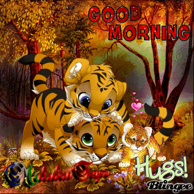 nice gif - find & share on giphy