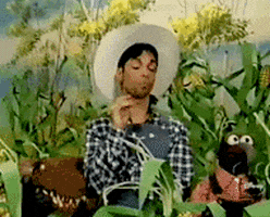 200.gif