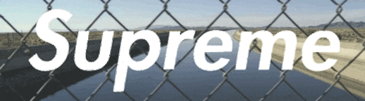 Neon Box Logo Supreme