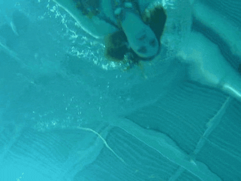 MERMAIDS! ZOMG!