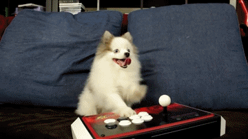 New trending GIF tagged video games dog puppy…