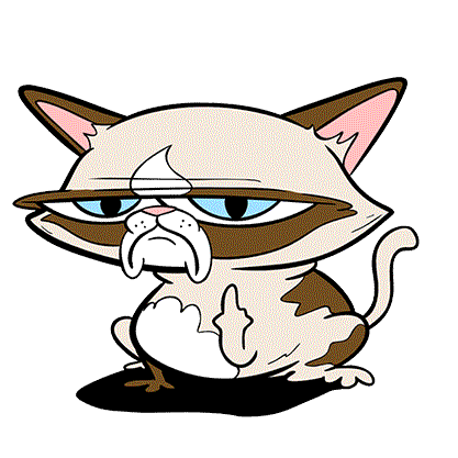 Fuck You Cat Stickers Find Share On Giphy