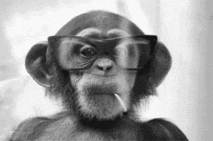Monkey Smoke animated GIF