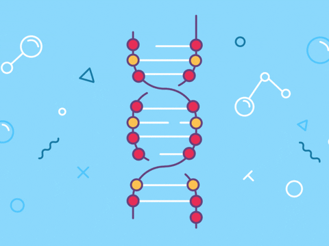 dna gif - find & share on giphy