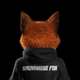 AnonymousFoxNFT