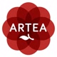 Artea_cc