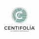 Centifolia