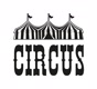 CircusHair