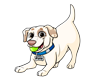DoggoDenJess
