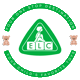 elctoys