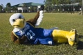 FGCUFYE