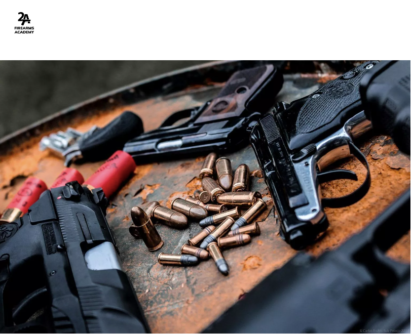 Giphy profile picture for @Firearms