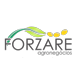 Forzare