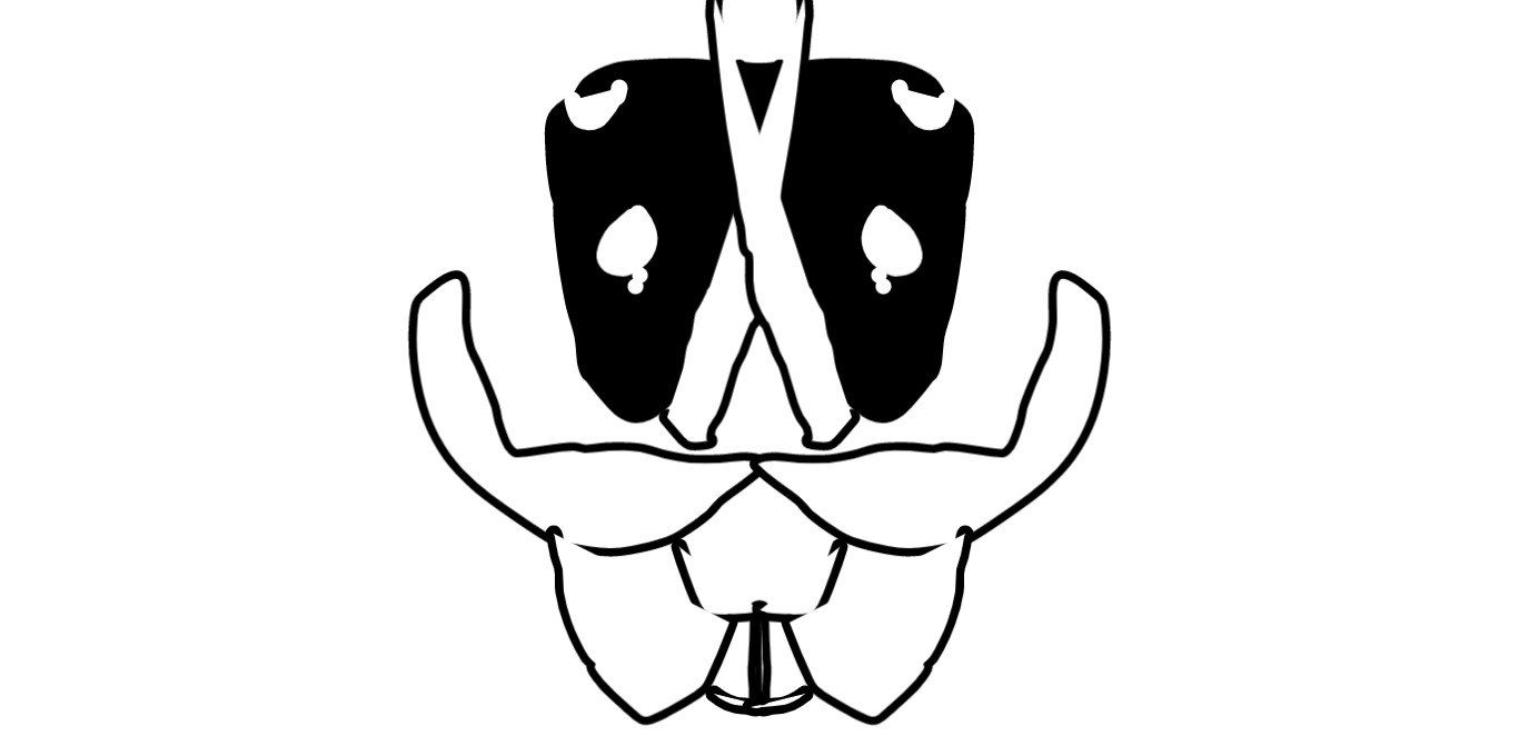 Giphy profile picture for @Froggg