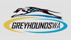 GreyhoundsWA