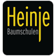 Heinje