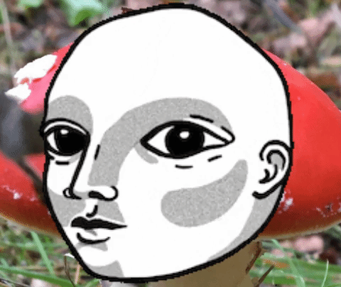 Giphy profile picture for @Mapped
