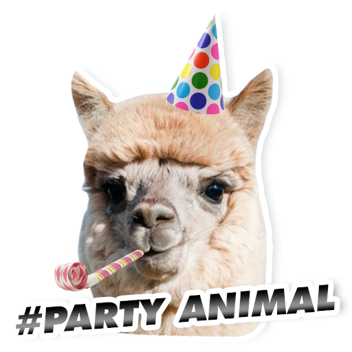 Giphy profile picture for @NTI