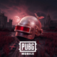 OFFICIALPUBGM