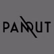 Panout